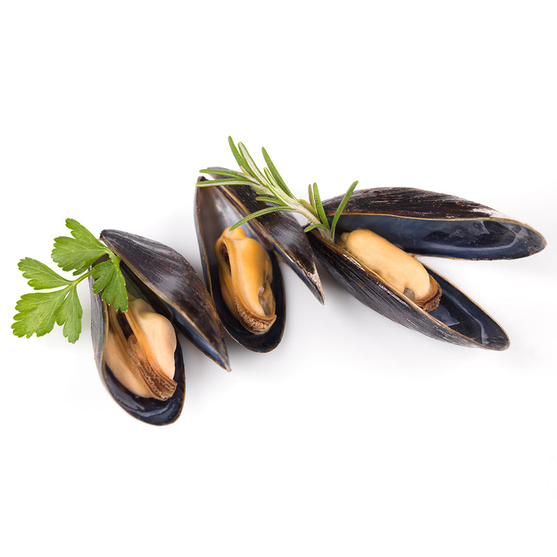 Bouchot Mussels 1 kg  [ Pre-order, please check ]