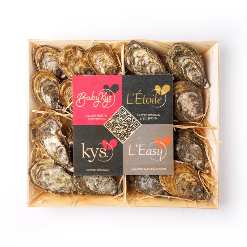 Coffret Kys Oyster 18 pcs/box  (Pre-Order 7 Days)