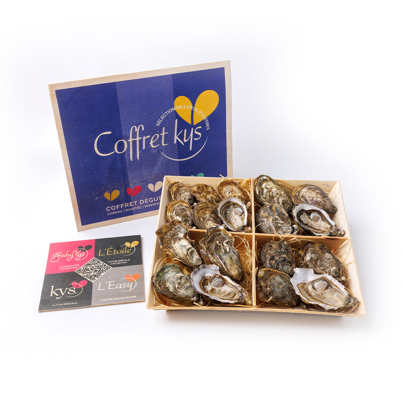 Coffret Kys Oyster 18 pcs/box  (Pre-Order 7 Days)