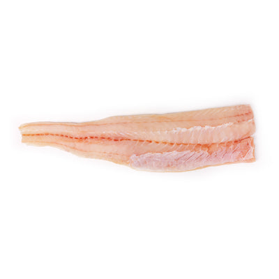 Frozen NZ Ling Fillet 2-2.2kg/pc